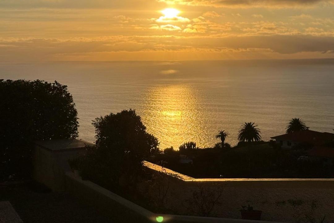 Photo of Others in Estreito da Calheta