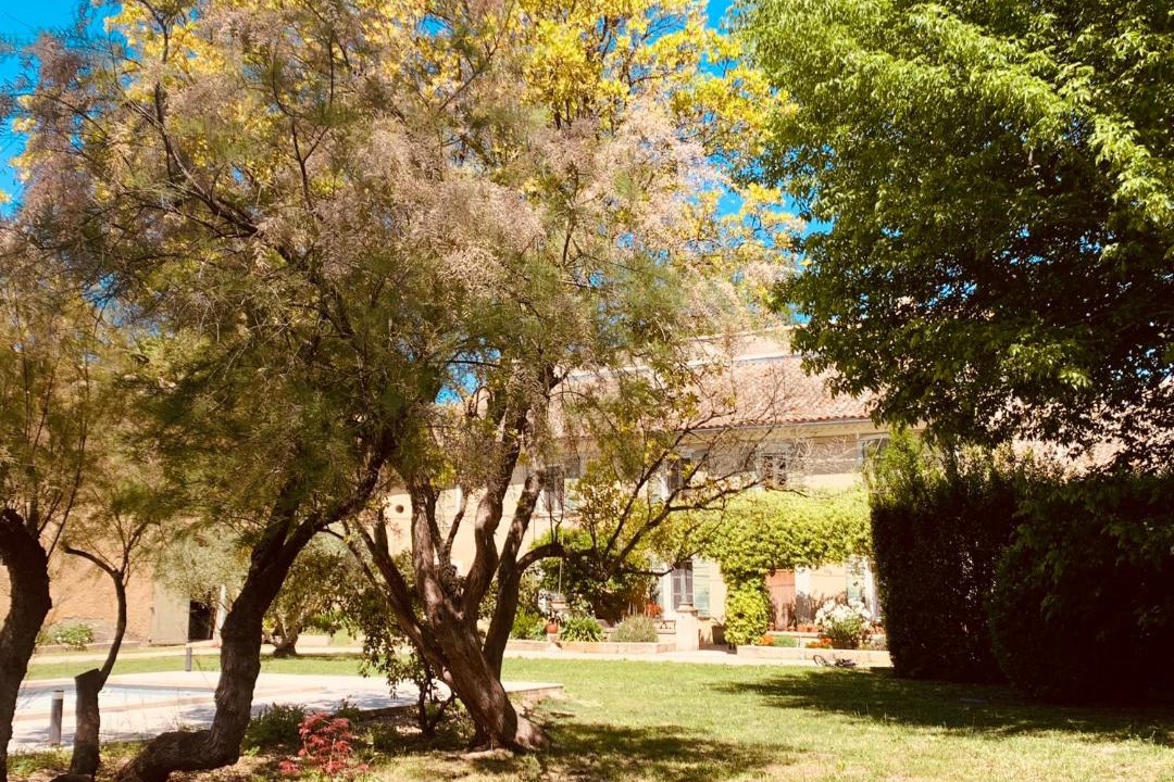 Photo of Outdoor in Graveson
