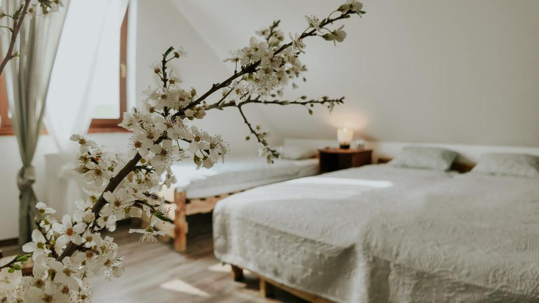 Photo of Bedroom in Nagyveleg