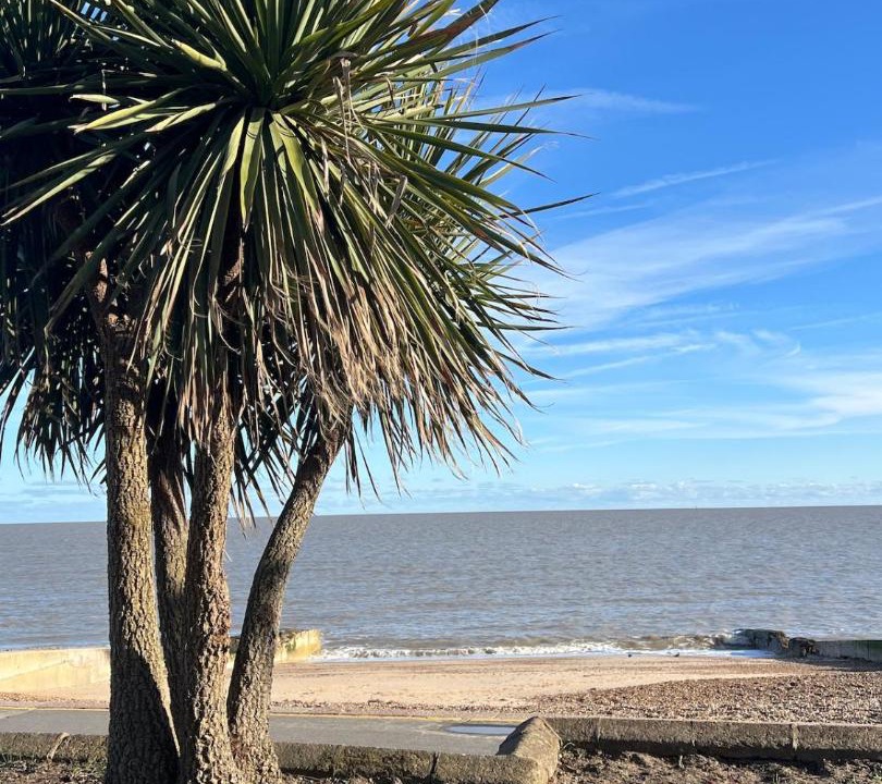 Photo of Others in Felixstowe