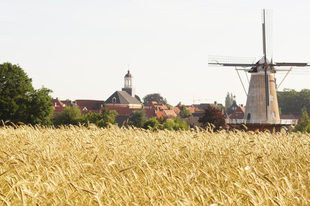 Photo of Others in Ootmarsum