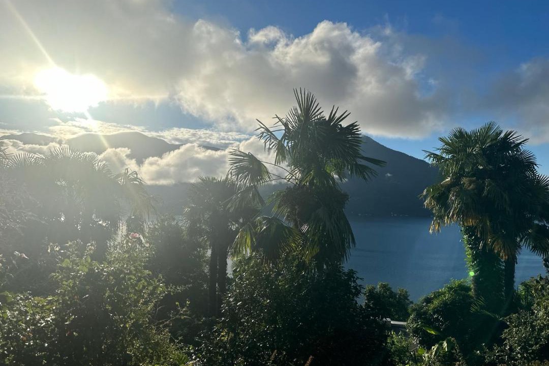 Photo of Others in Brissago
