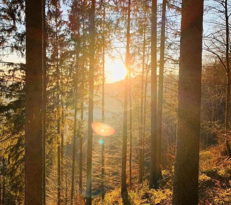 Photo of Others in Todtnau