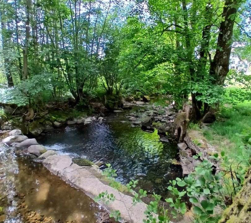 Photo of Others in Saint-Maurice-sur-Moselle