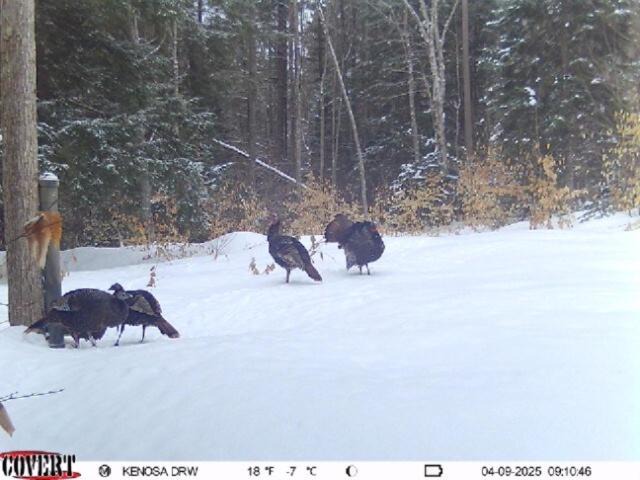 Photo of Others in Wetmore