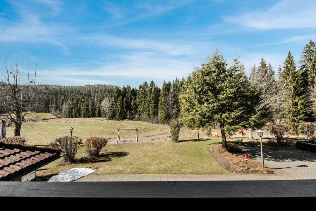 Photo of Others in Hinterzarten