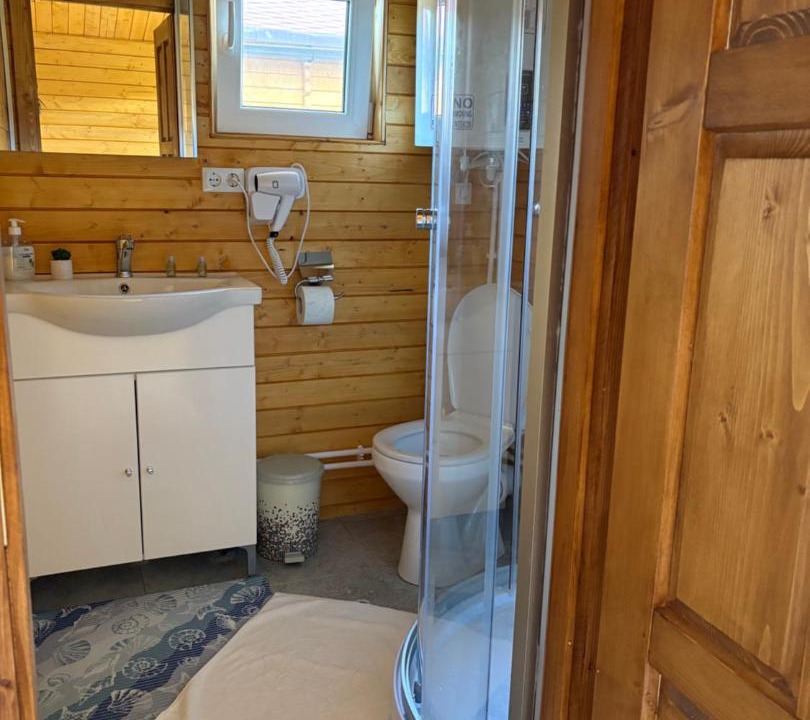 Photo of Bathroom in Cartisoara