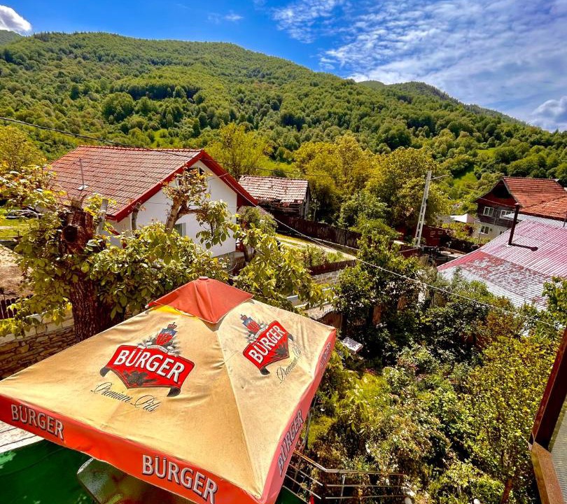 Photo of Others in Nehoiu
