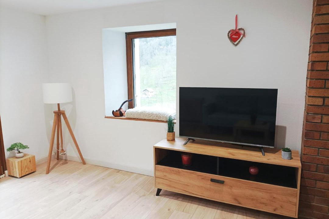 Photo of Livingroom in Bussang