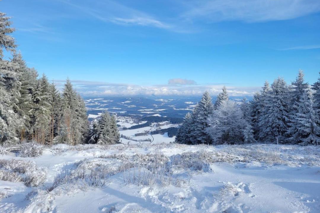 Photo of Others in Oberdorla