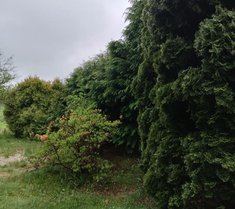 Photo of Others in Jaroszowice