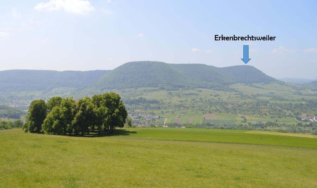 Photo of Others in Erkenbrechtsweiler