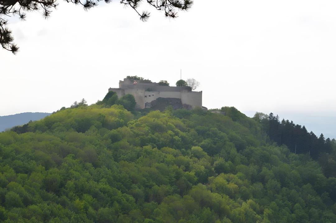 Photo of Others in Erkenbrechtsweiler