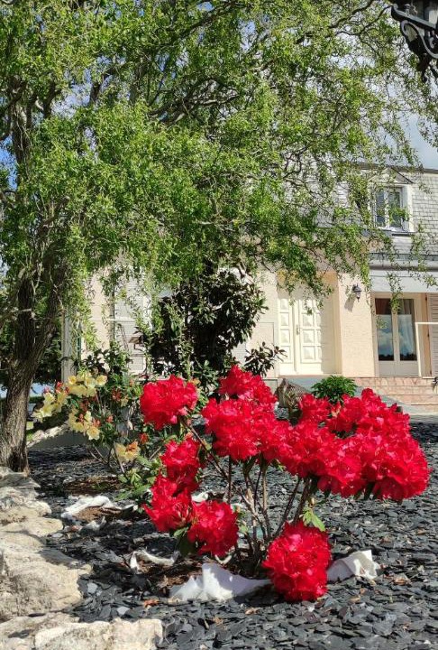 Photo of Outdoor in Saint-Georges-sur-Cher