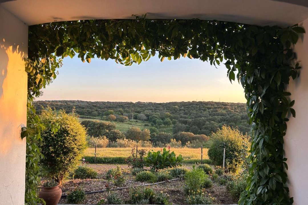 Photo of Patio Balcony in Fronteira