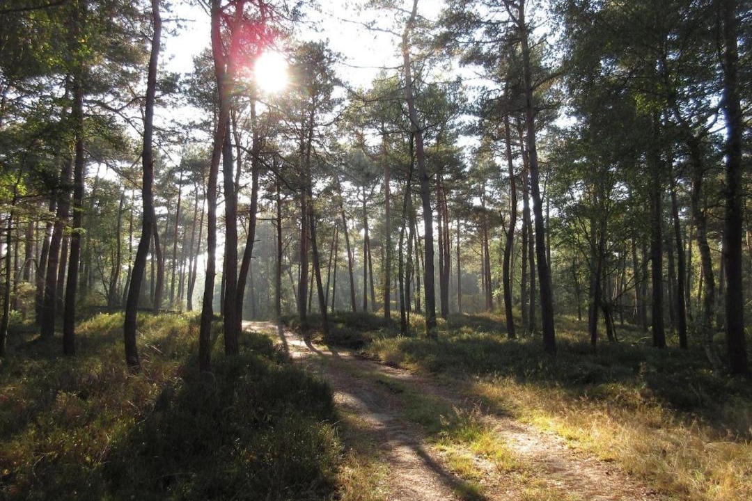 Photo of Others in Beekbergen-Zuid