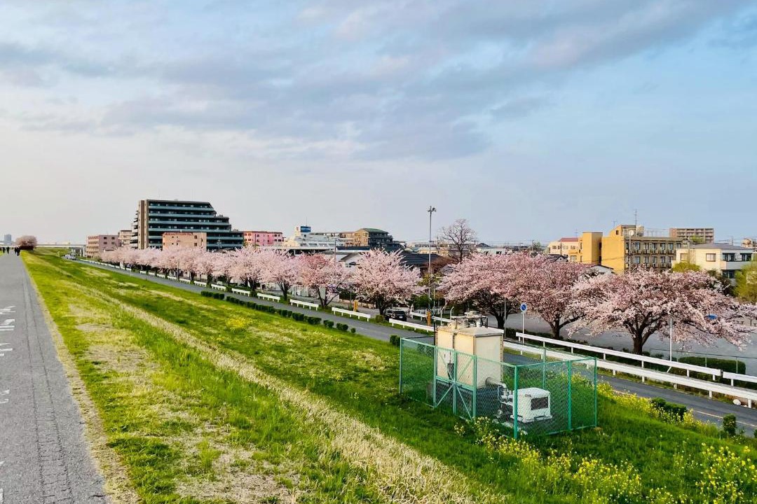 Photo of Others in Matsudo