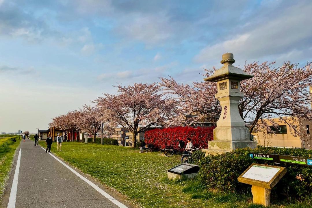 Photo of Others in Matsudo