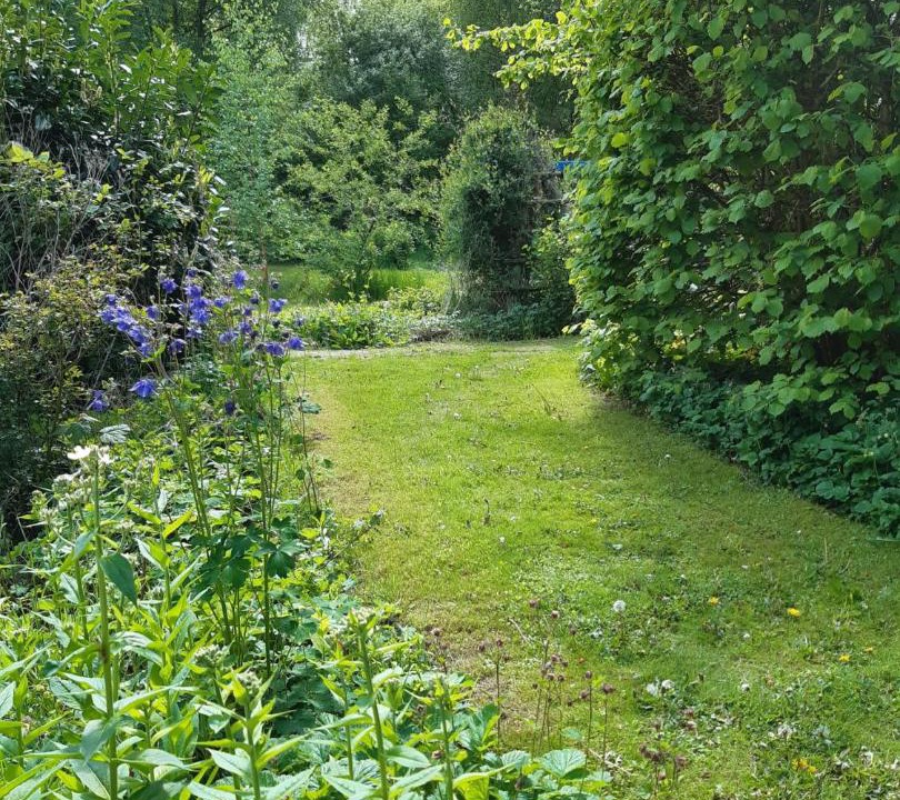 Photo of Outdoor in Valthermond