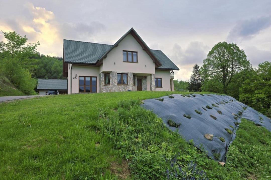Photo of Others in Bukowiec