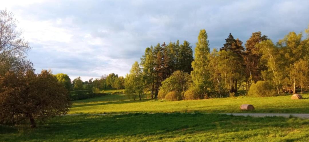 Photo of Others in Nowa Ruda