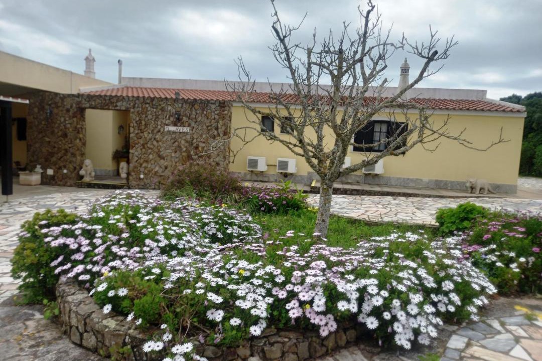 Photo of Others in Alfarrobeira