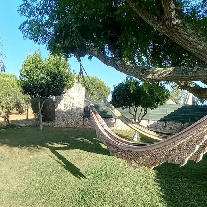Photo of Outdoor in Alfarrobeira