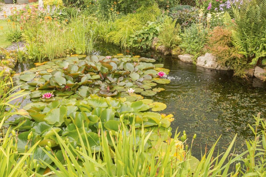 Photo of Outdoor in Tunstall