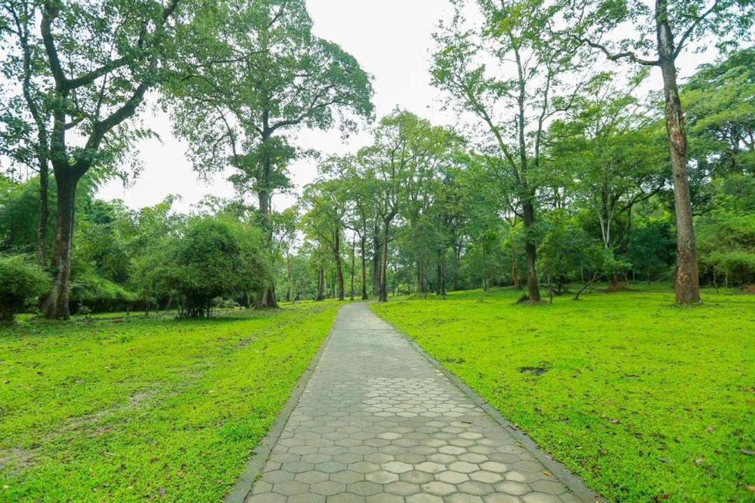 Photo of Outdoor in Sulthan Bathery