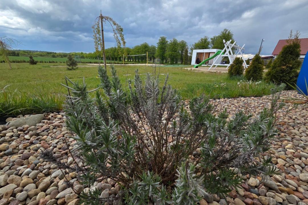 Photo of Outdoor in gmina Łeczyce