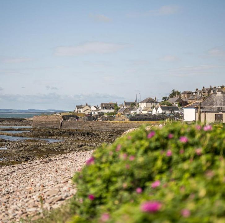 Photo of Others in Johnshaven