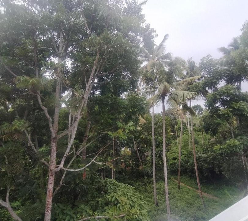 Photo of Others in Kuzhithurai