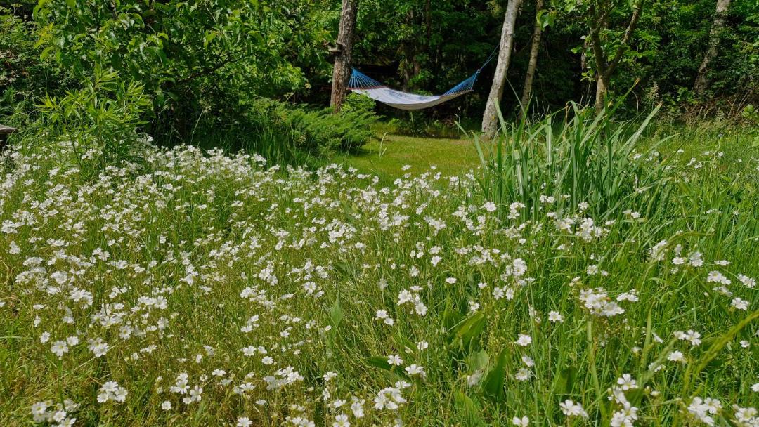 Photo of Outdoor in Linia
