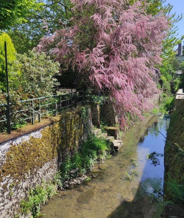 Photo of Others in Pontlevoy