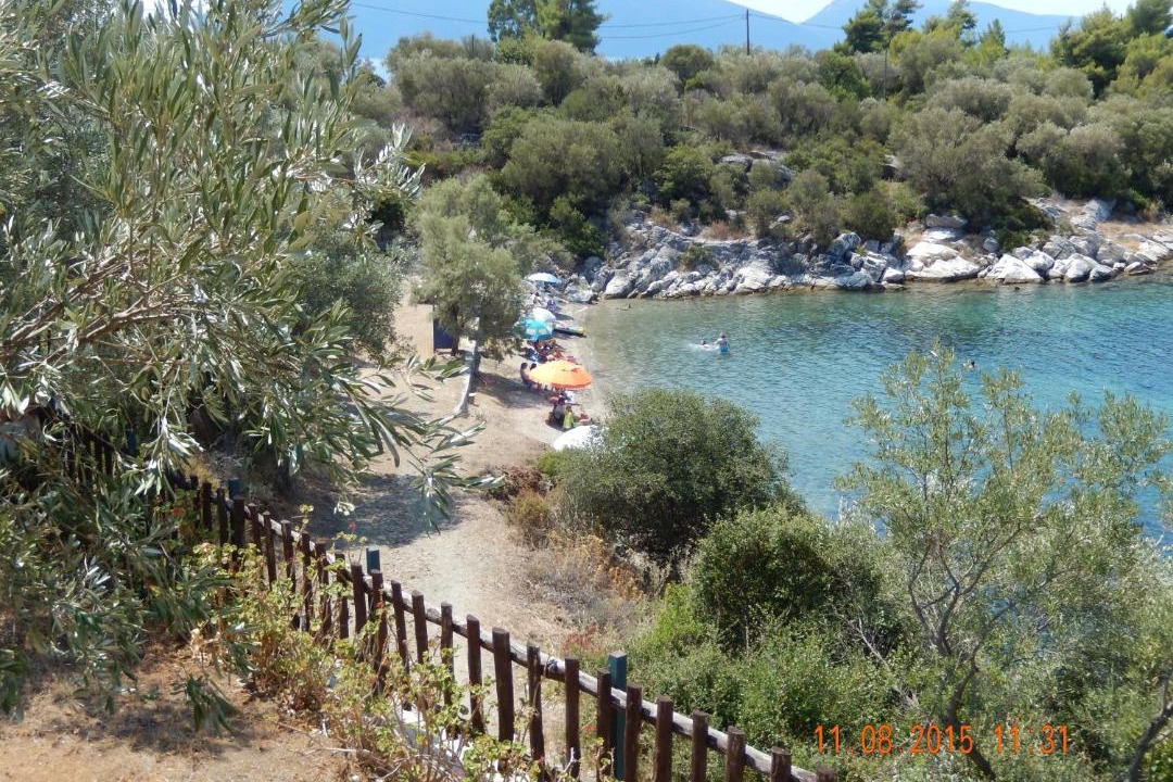 Photo of Others in Trikeri