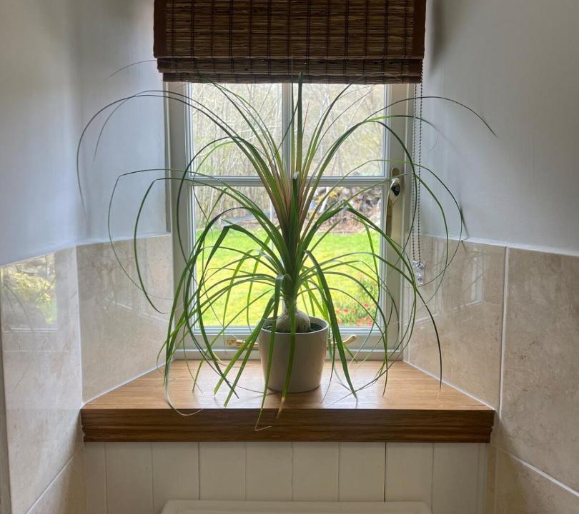 Photo of Bathroom in Murthly