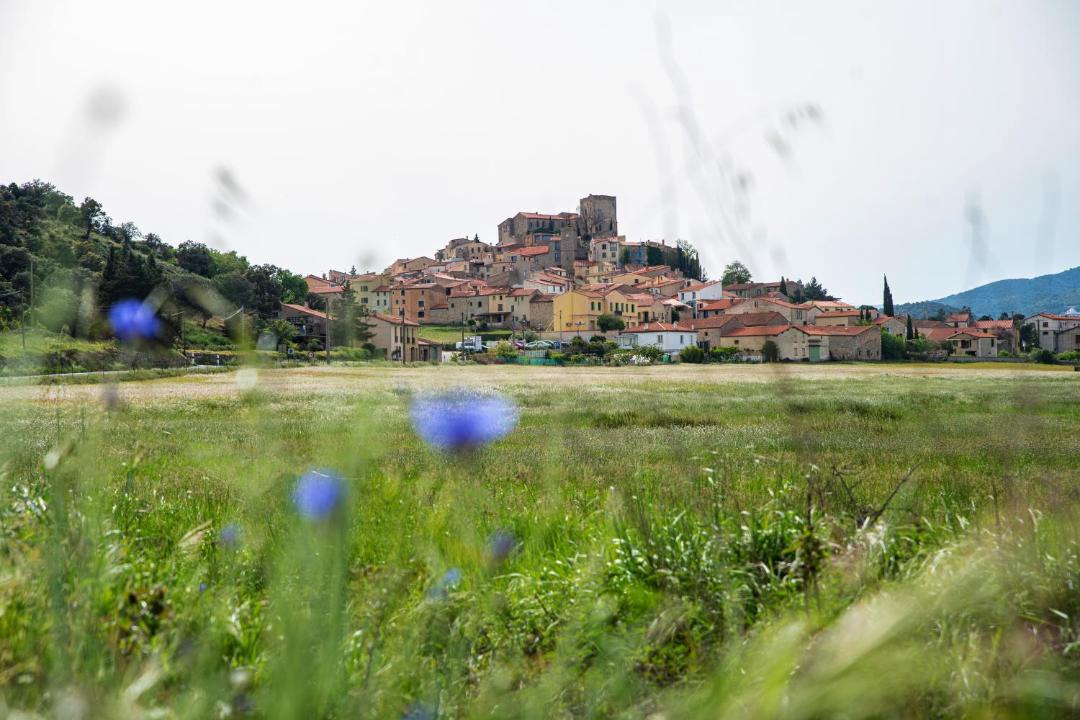 Photo of Others in Montalba-le-Chateau