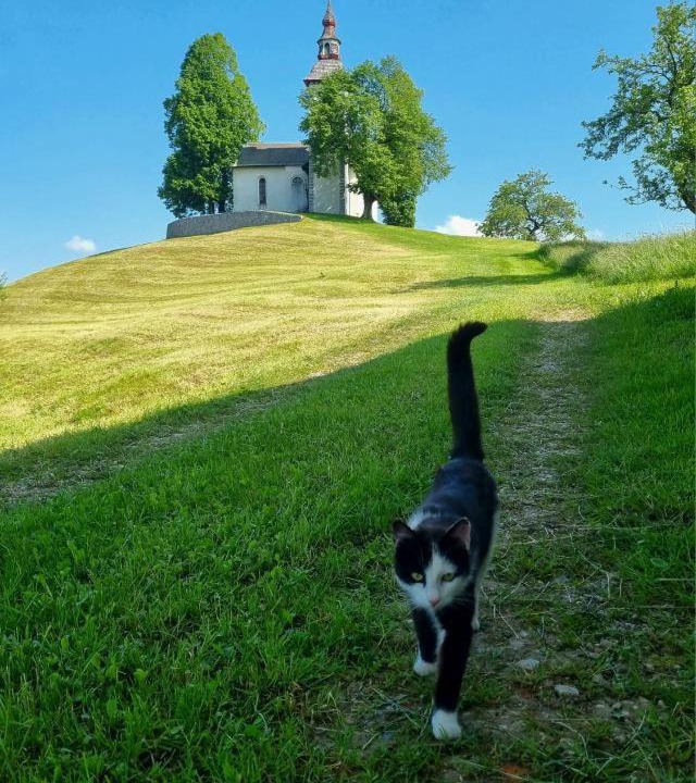Photo of Others in Skofja Loka