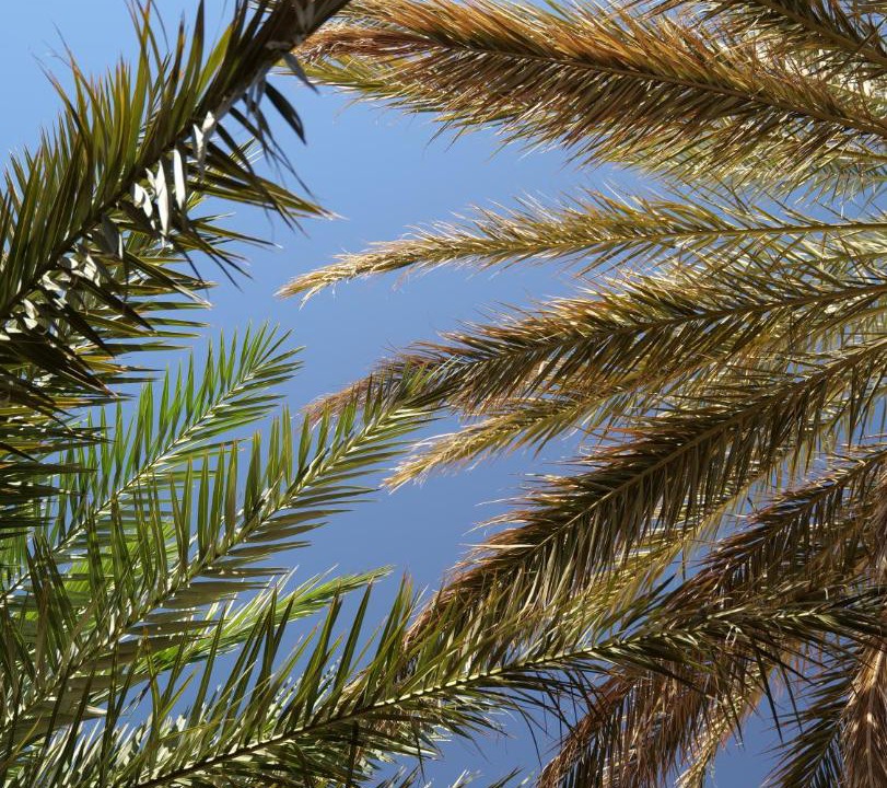 Photo of Outdoor in Tagounite