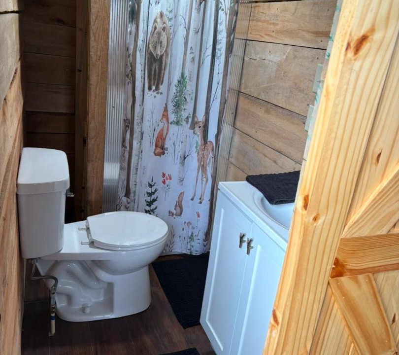 Photo of Bathroom in Pope County