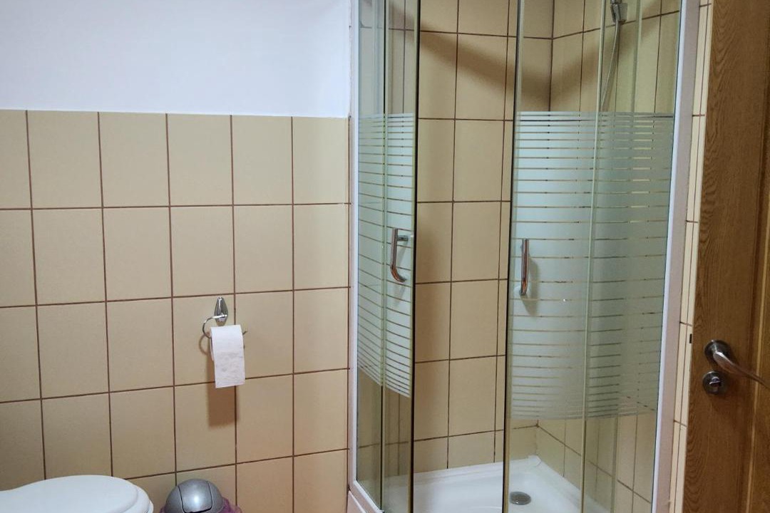 Photo of Bathroom in Eselnita