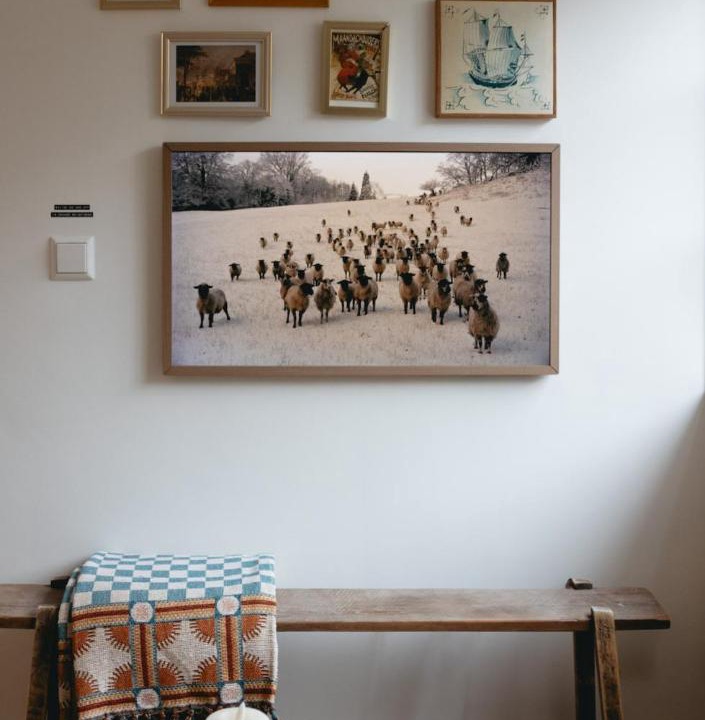 Photo of Others in Zaandijk