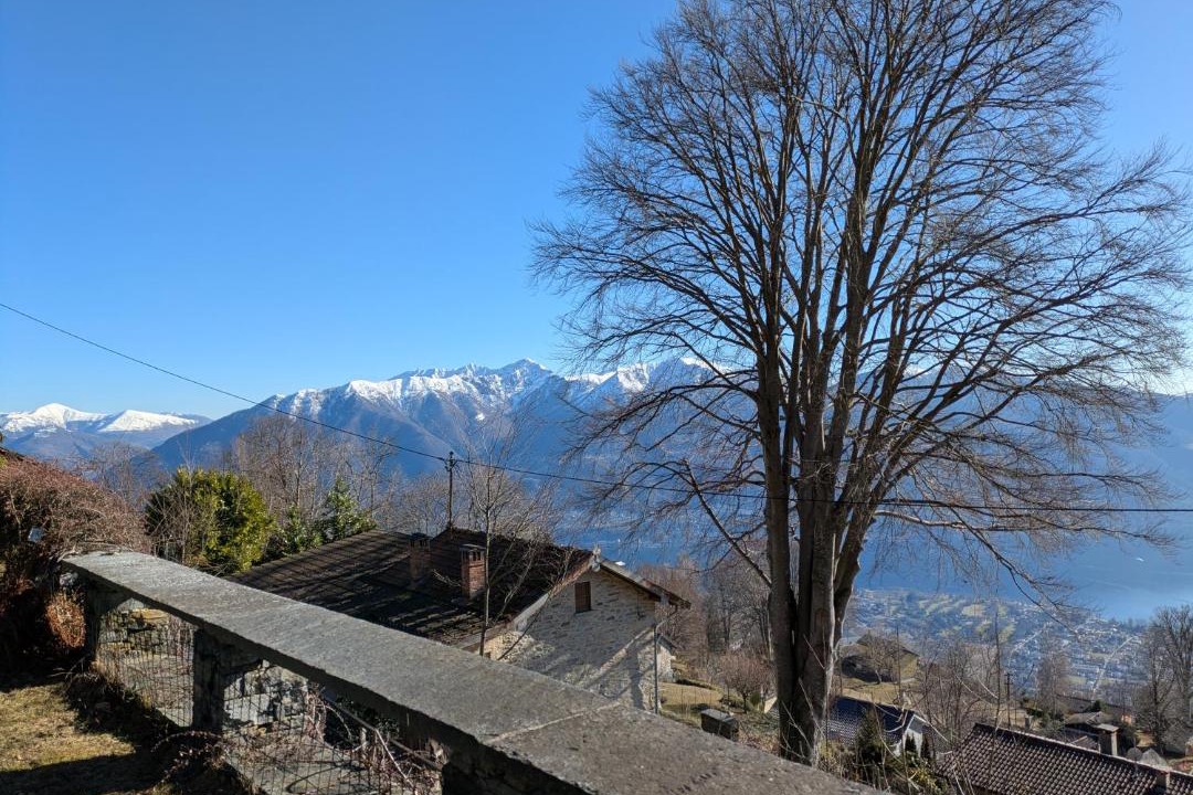 Photo of Others in Locarno