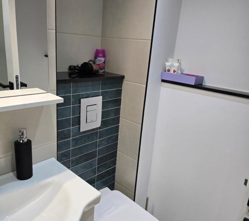 Photo of Bathroom in Emanoil Gojdu