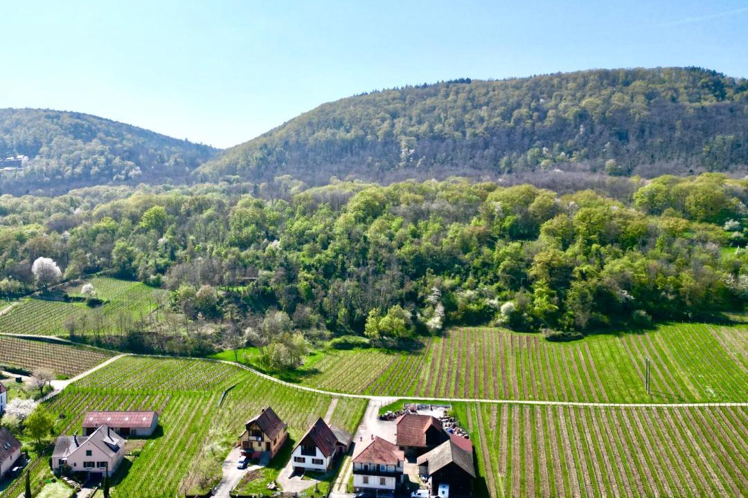 Photo of Others in Gueberschwihr