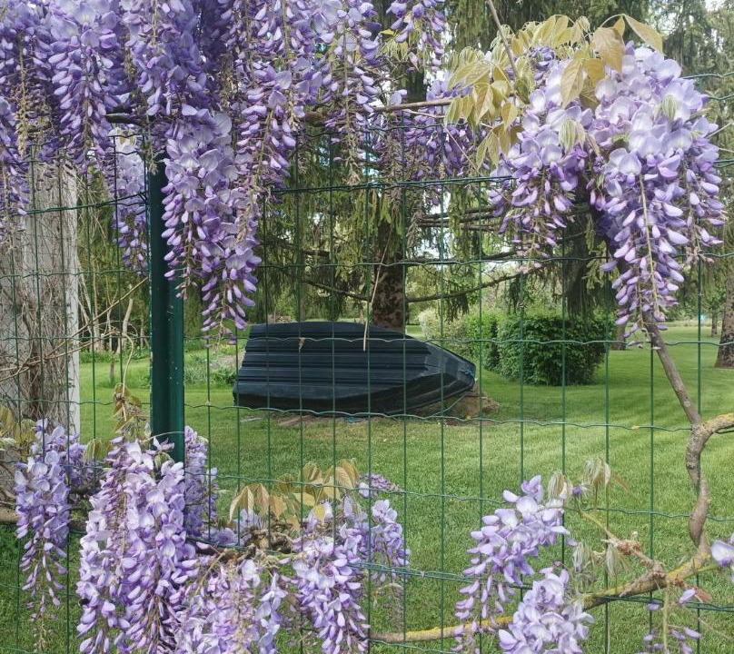 Photo of Outdoor in Saint-Hilaire-la-Palud