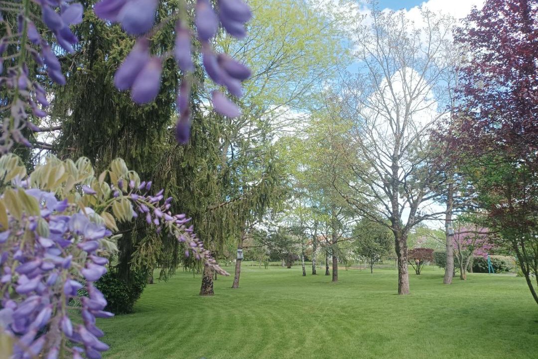 Photo of Outdoor in Saint-Hilaire-la-Palud