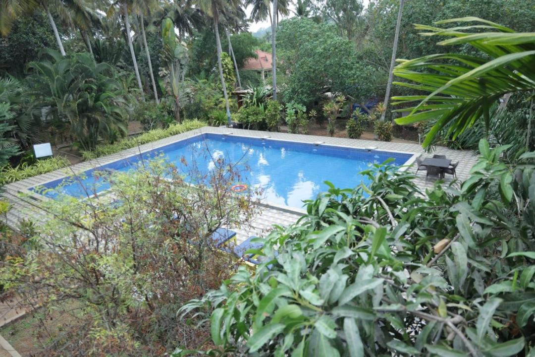 Photo of Others in Poovar