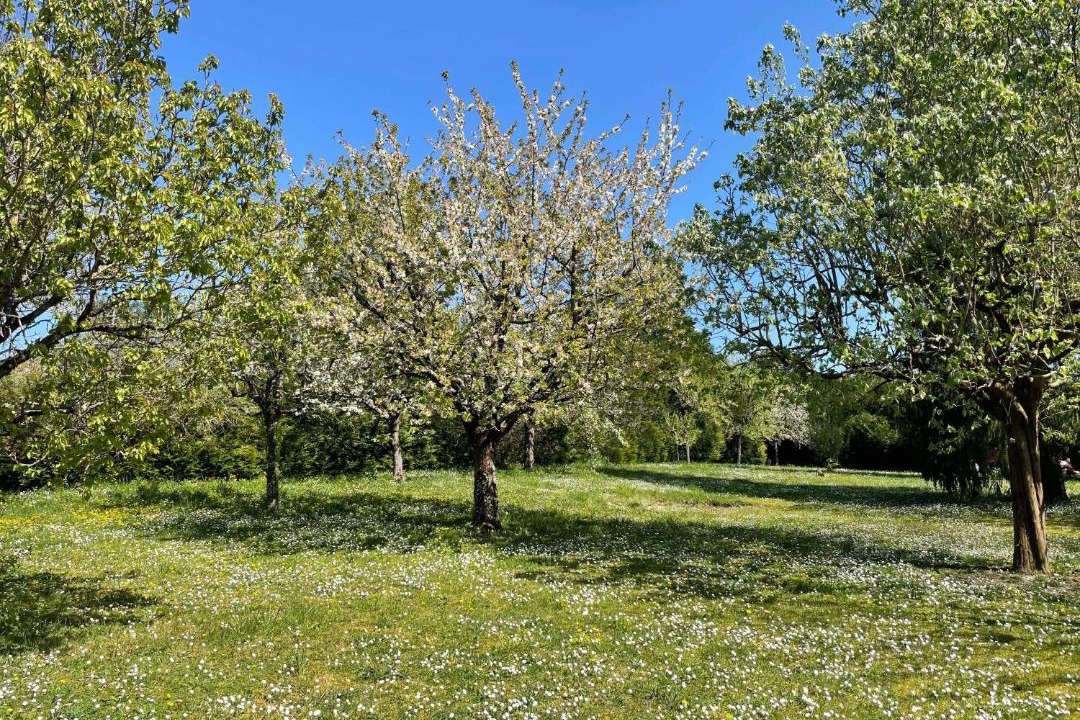 Photo of Outdoor in Civray-de-Touraine