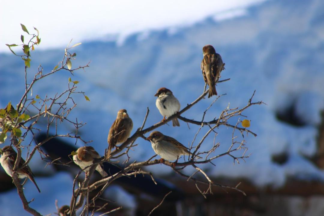 Photo of Others in Boutferda